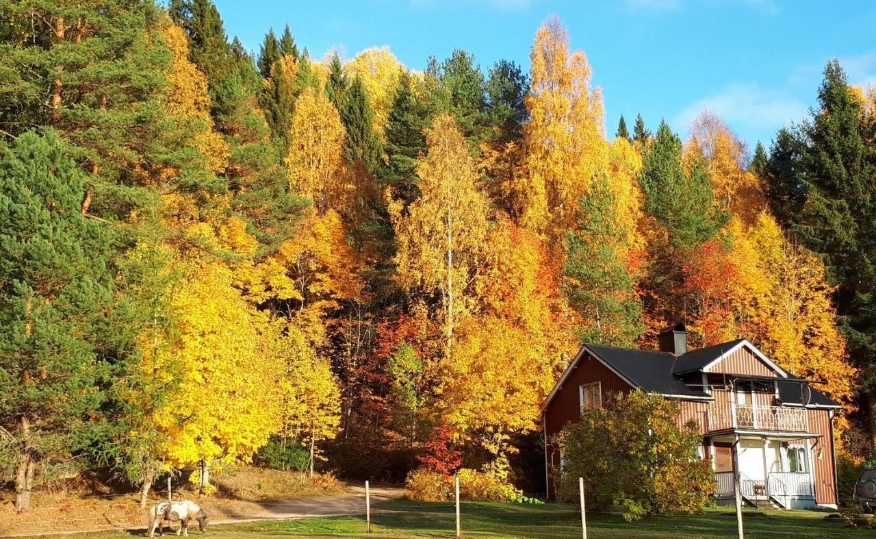Little Forest House "Our Little Farm" Ekshärad Esterno foto