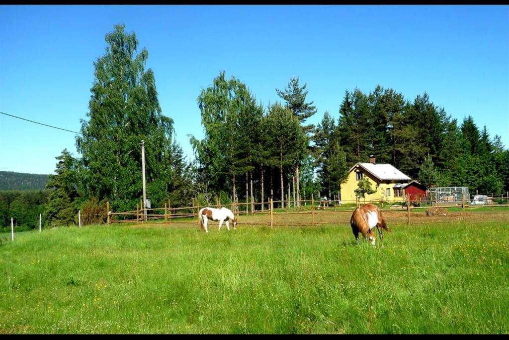Little Forest House "Our Little Farm" Ekshärad Esterno foto