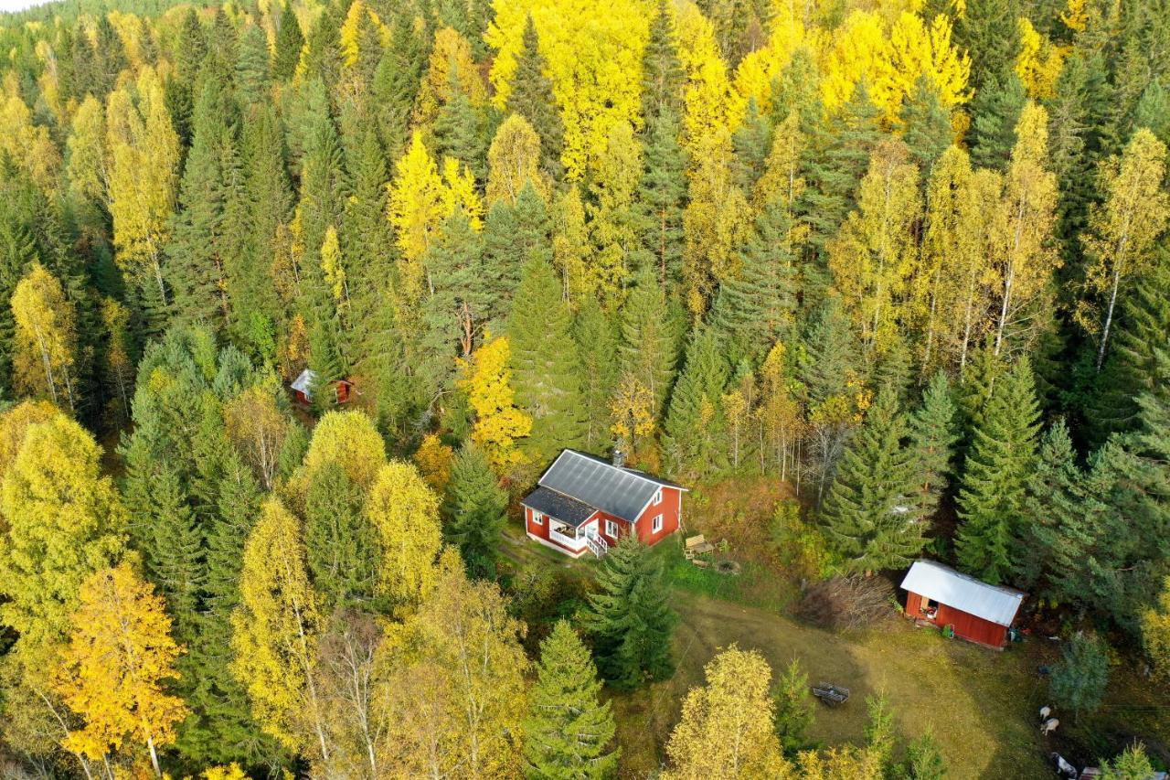 Little Forest House "Our Little Farm" Ekshärad Esterno foto